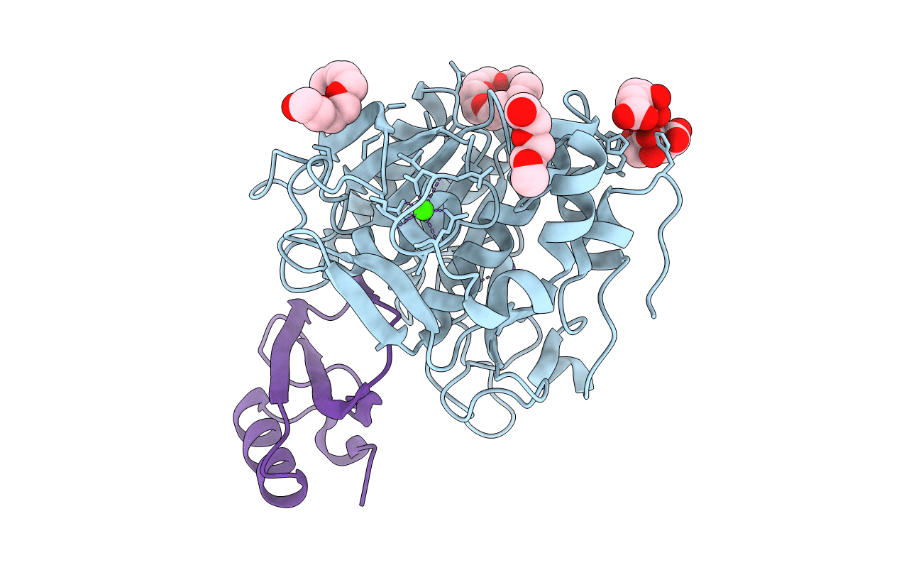 1TM3 image