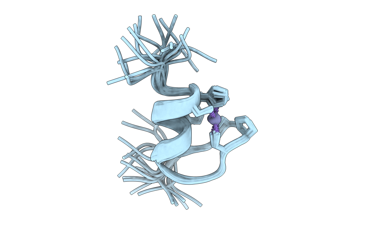 1TM6 image