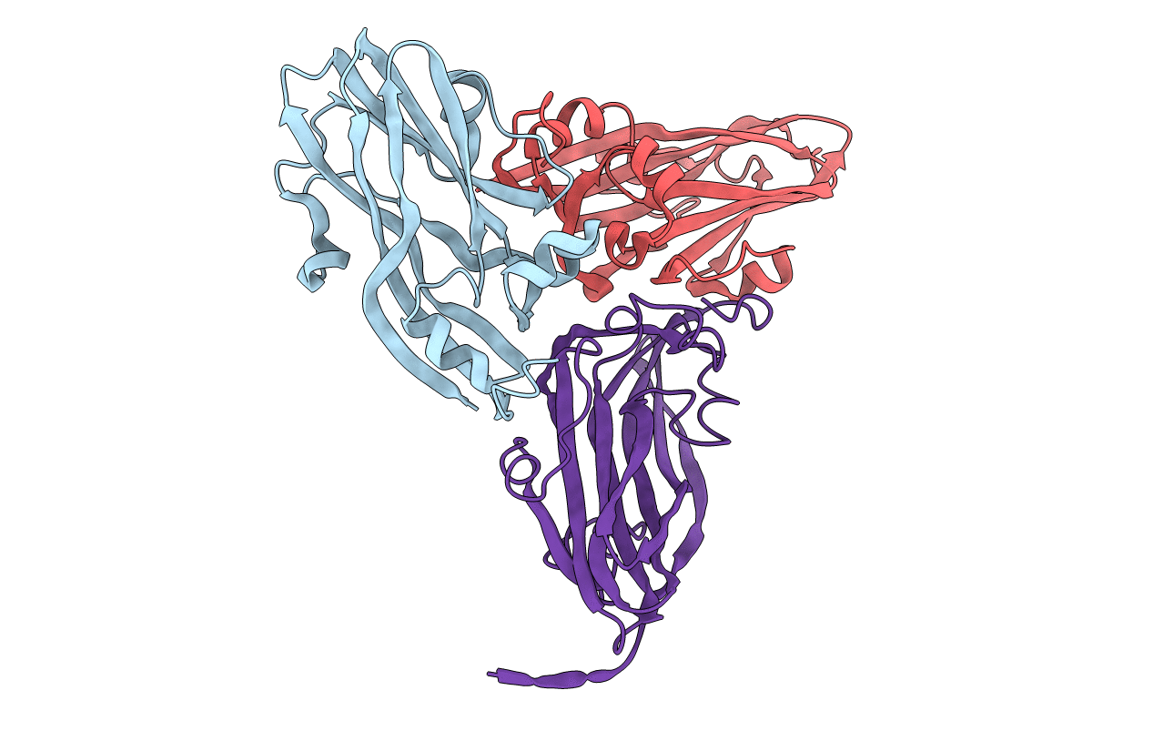 1TNV image