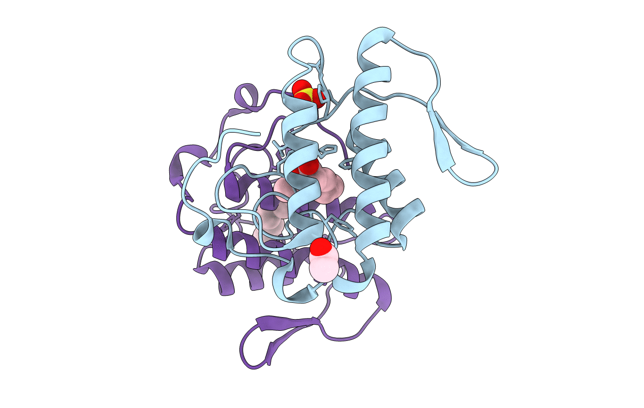 1TP2 image
