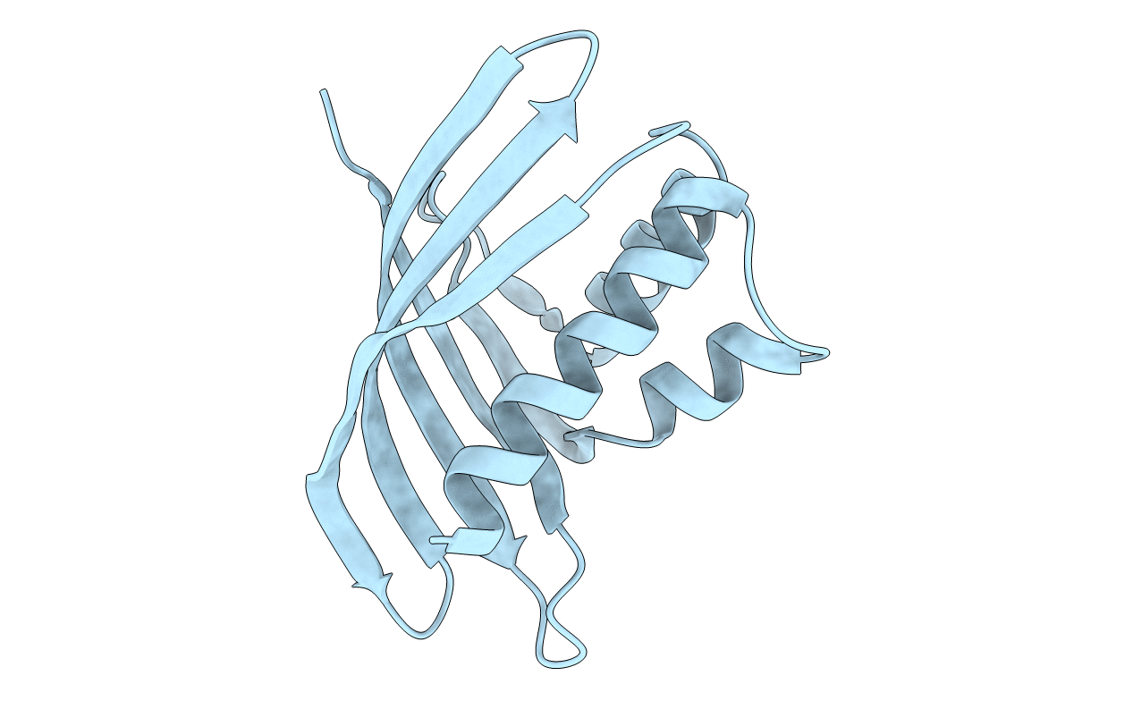 1TP6 image