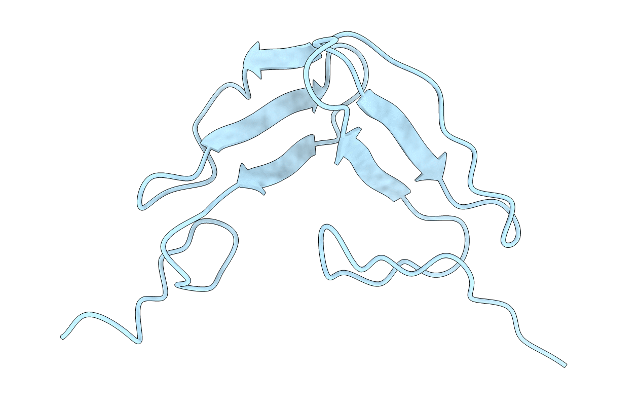 1TPG image