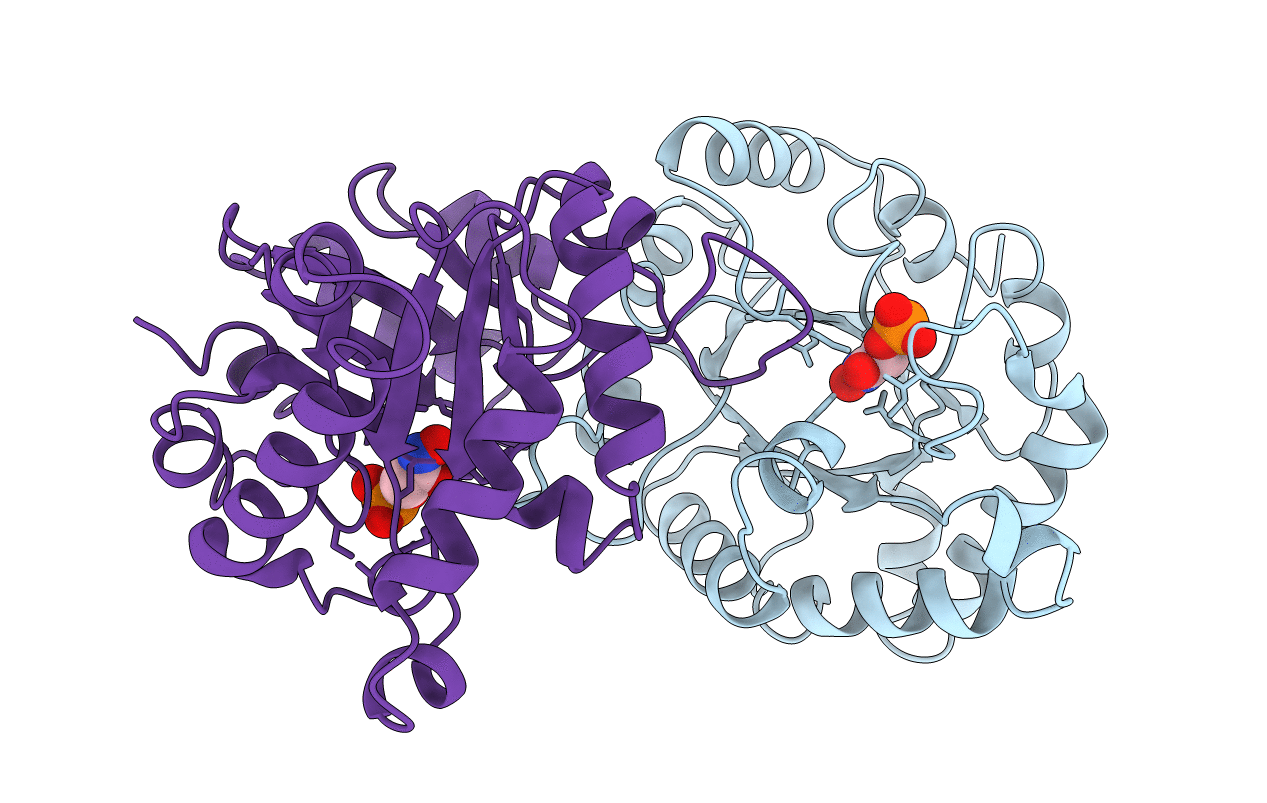 1TPH image