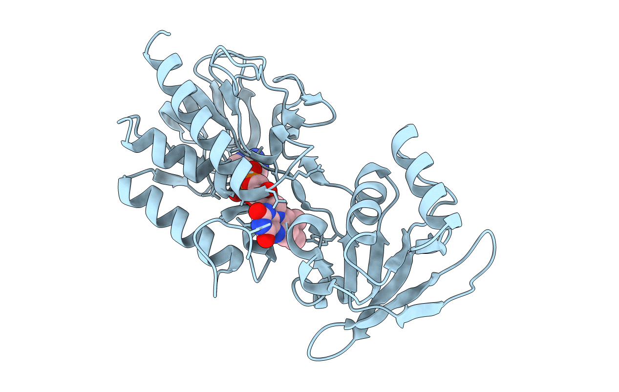 1TRB image