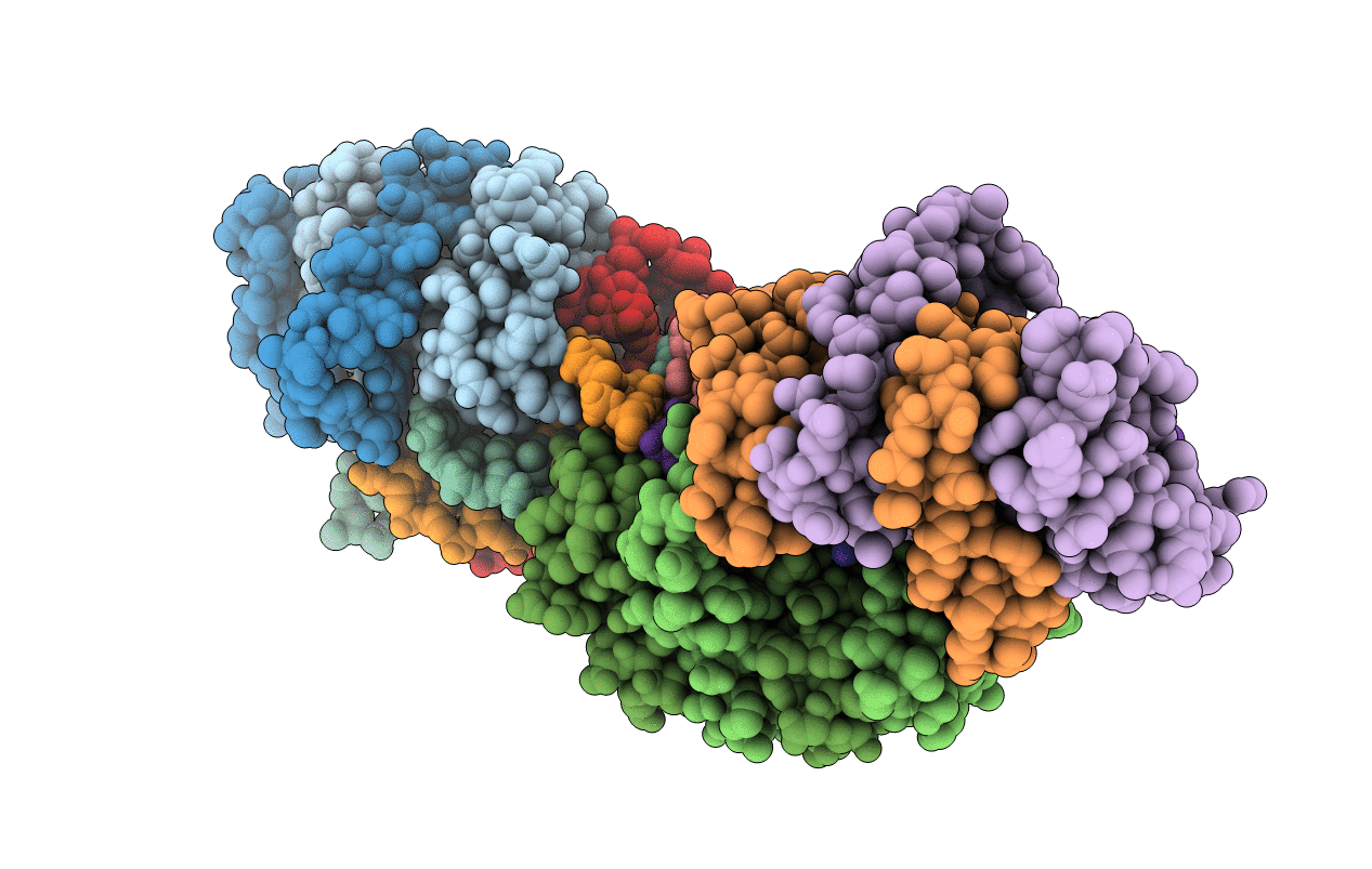 1TRR image
