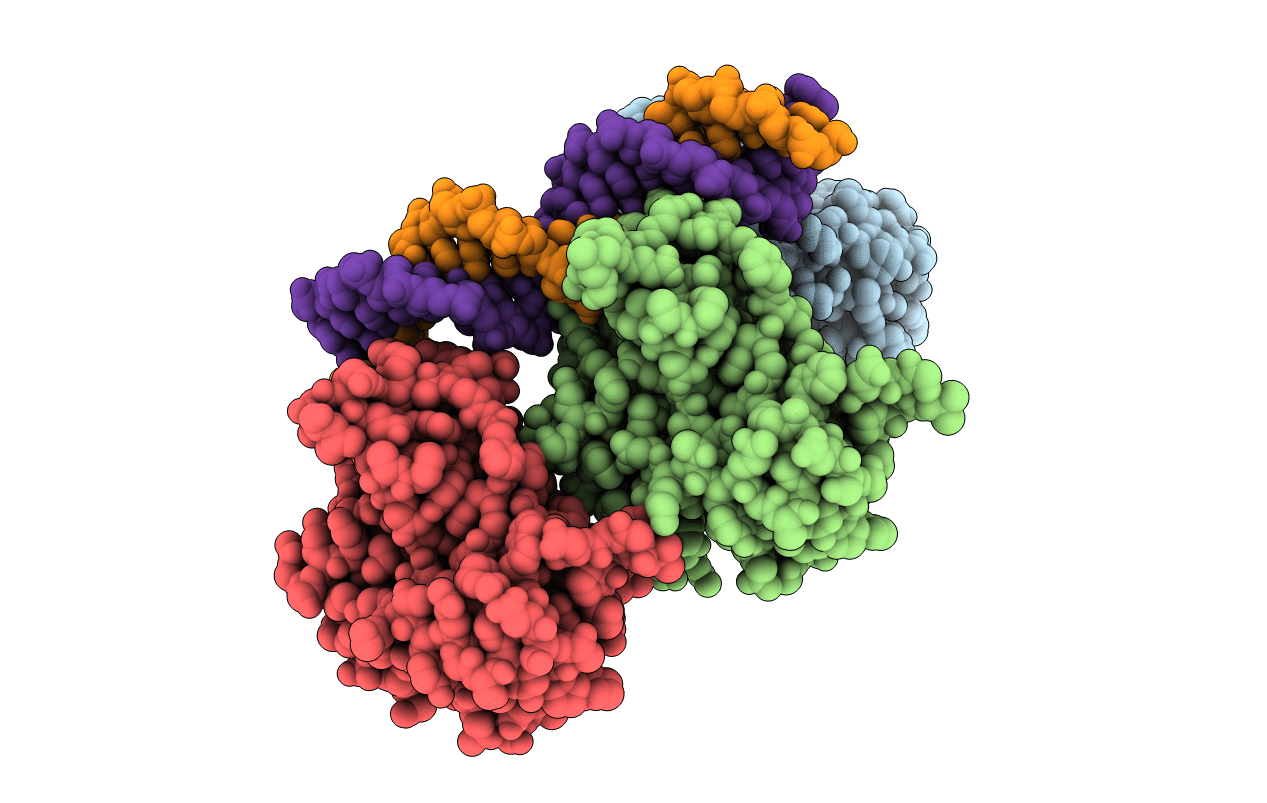 1TSR image