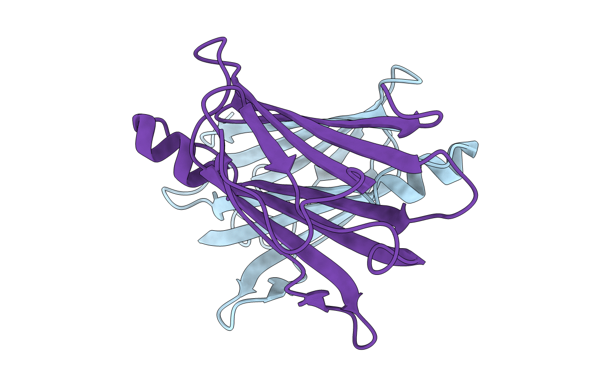 1TTB image