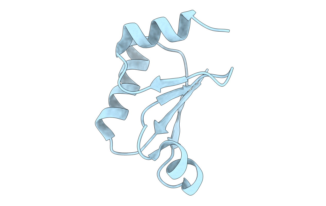 1TTZ image