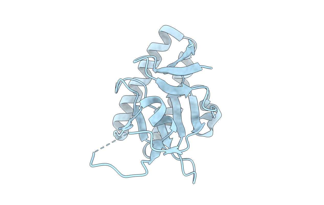 1TXJ image