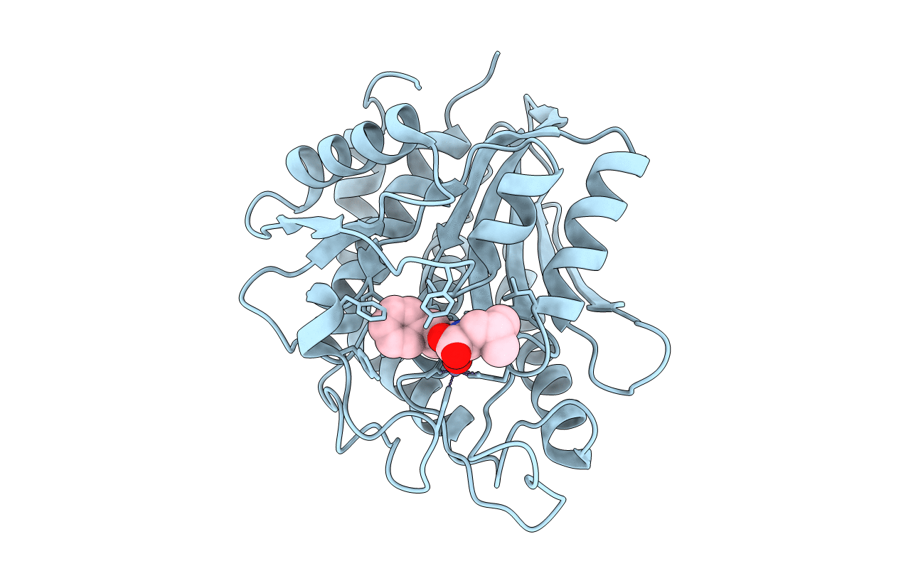 1TXR image