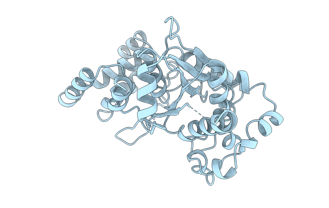 1TYC image