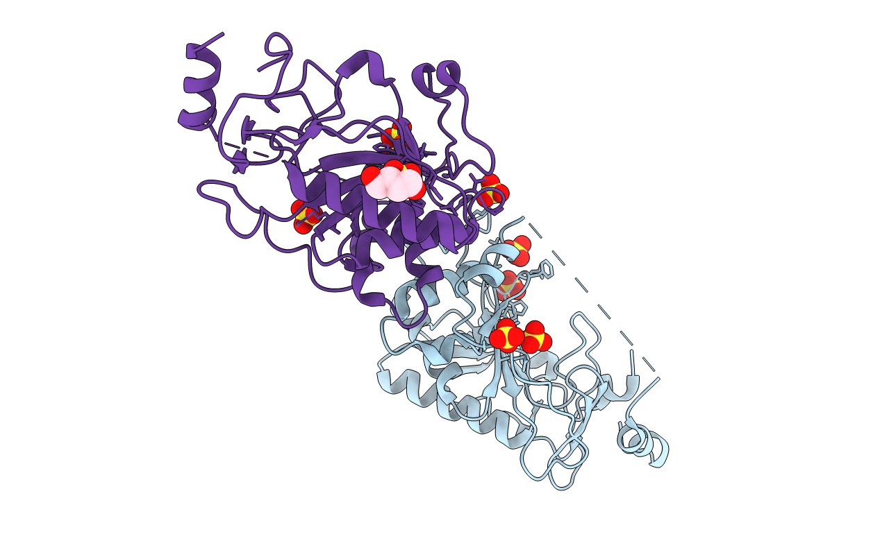 1TZP image