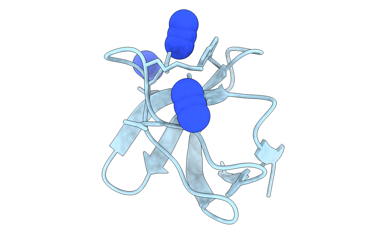 1U06 image