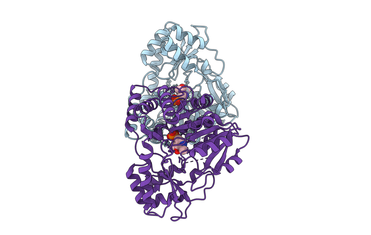 1U08 image