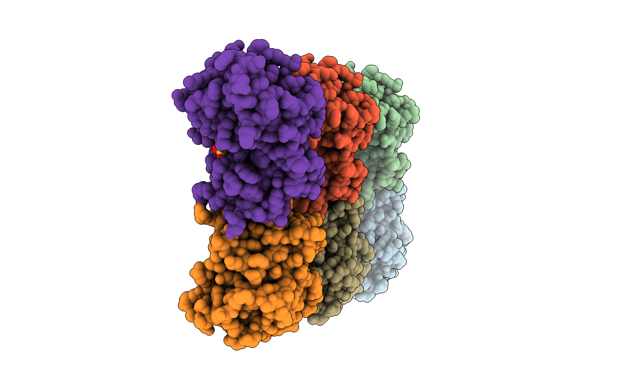 1U10 image