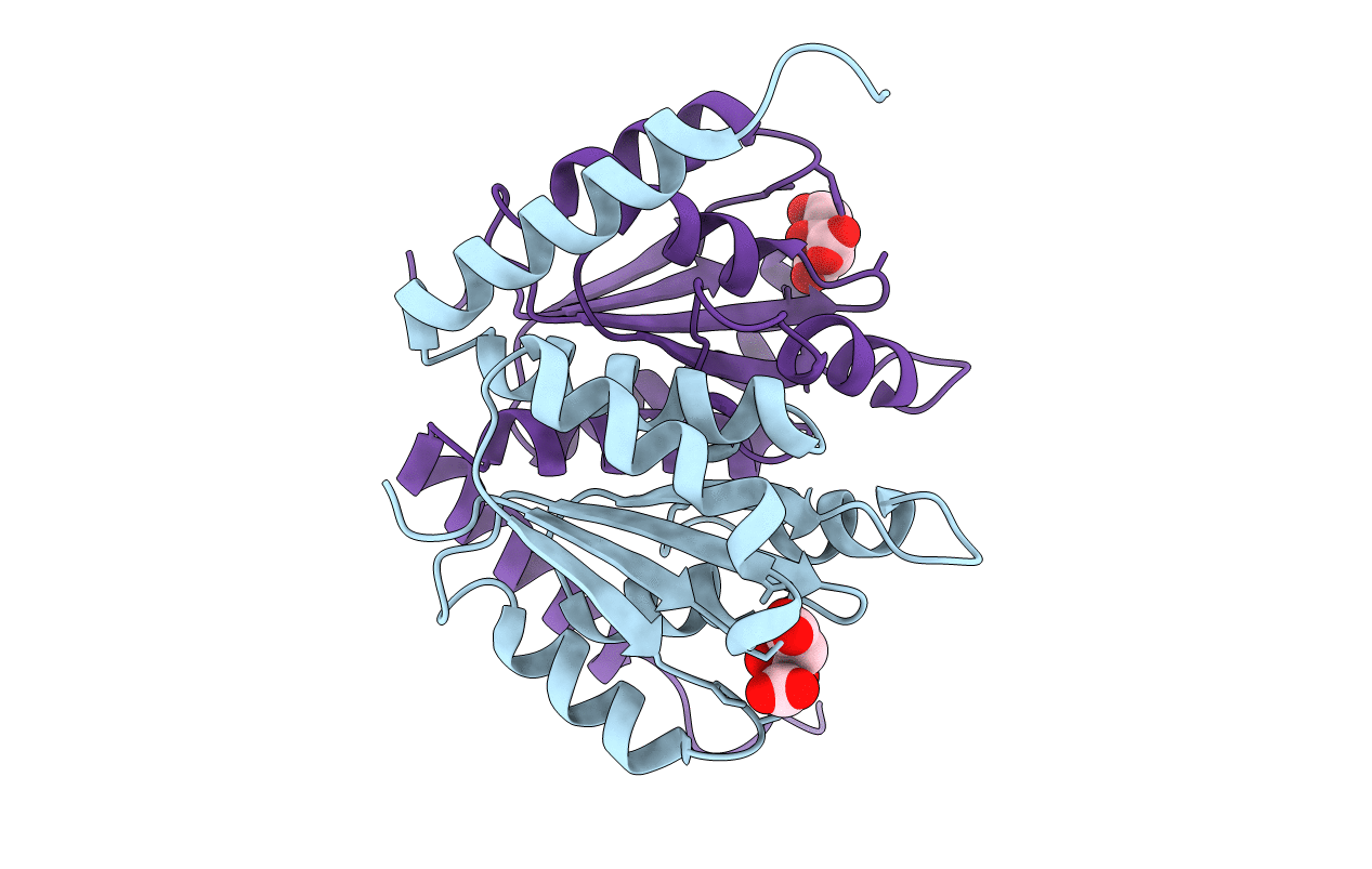 1u11 image