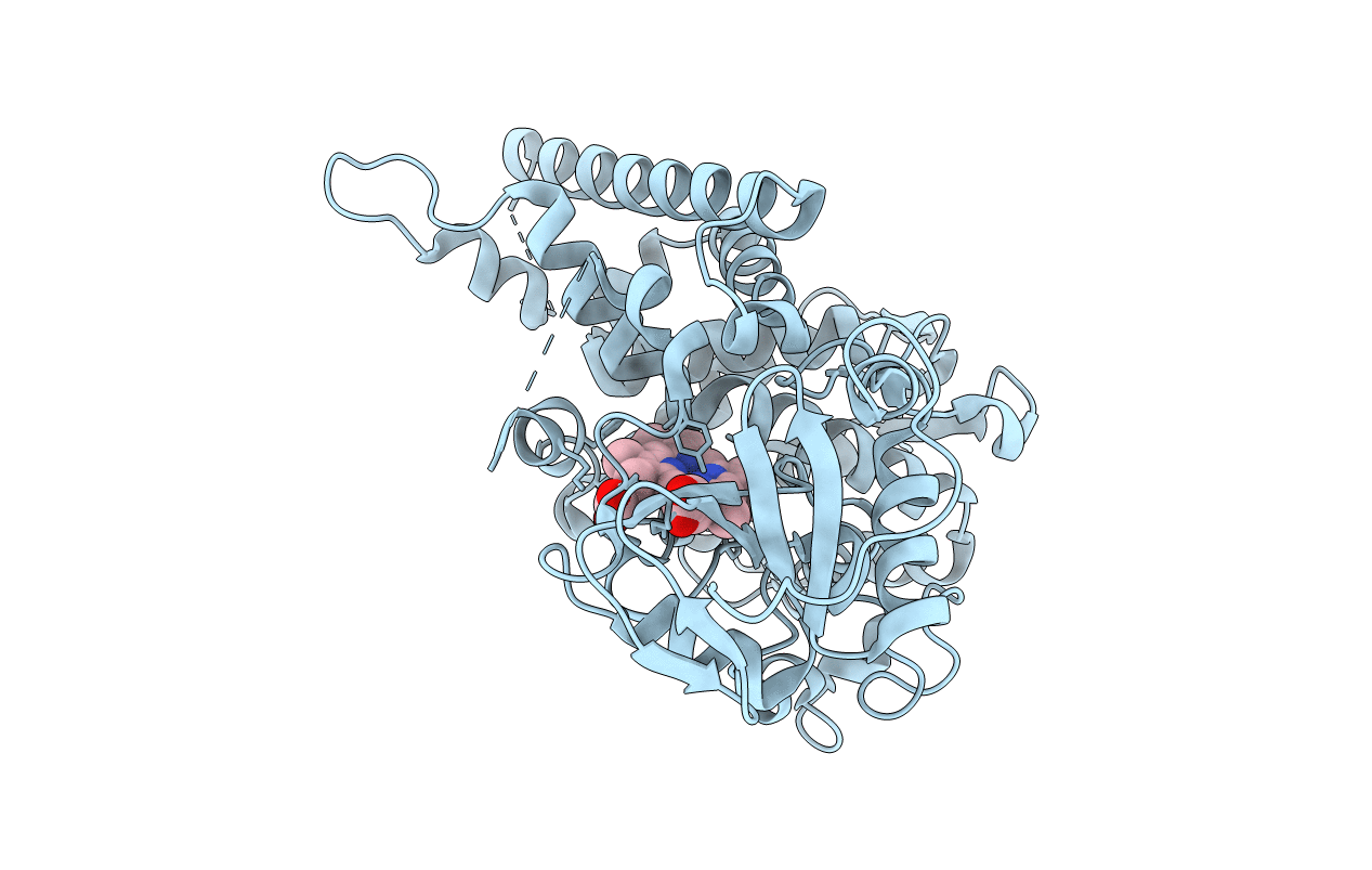 1U13 image