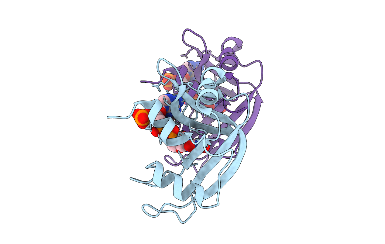 1U1B image