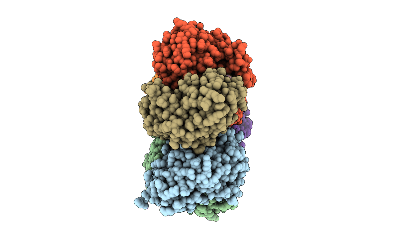 1U1D image