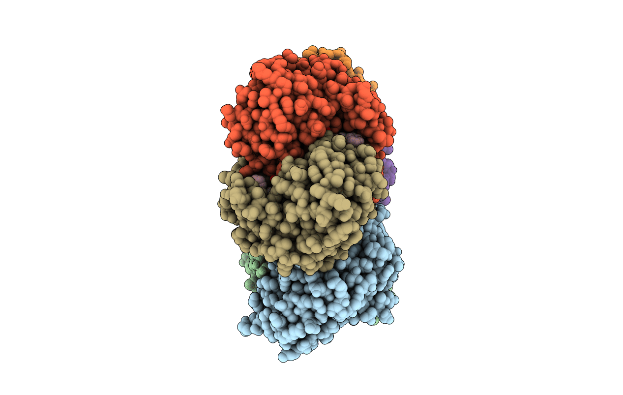 1U1E image