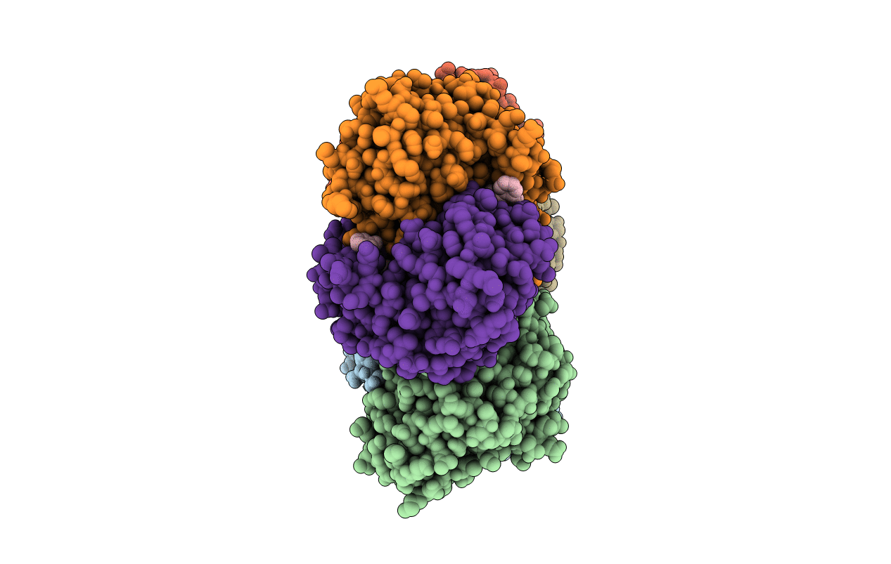 1U1F image