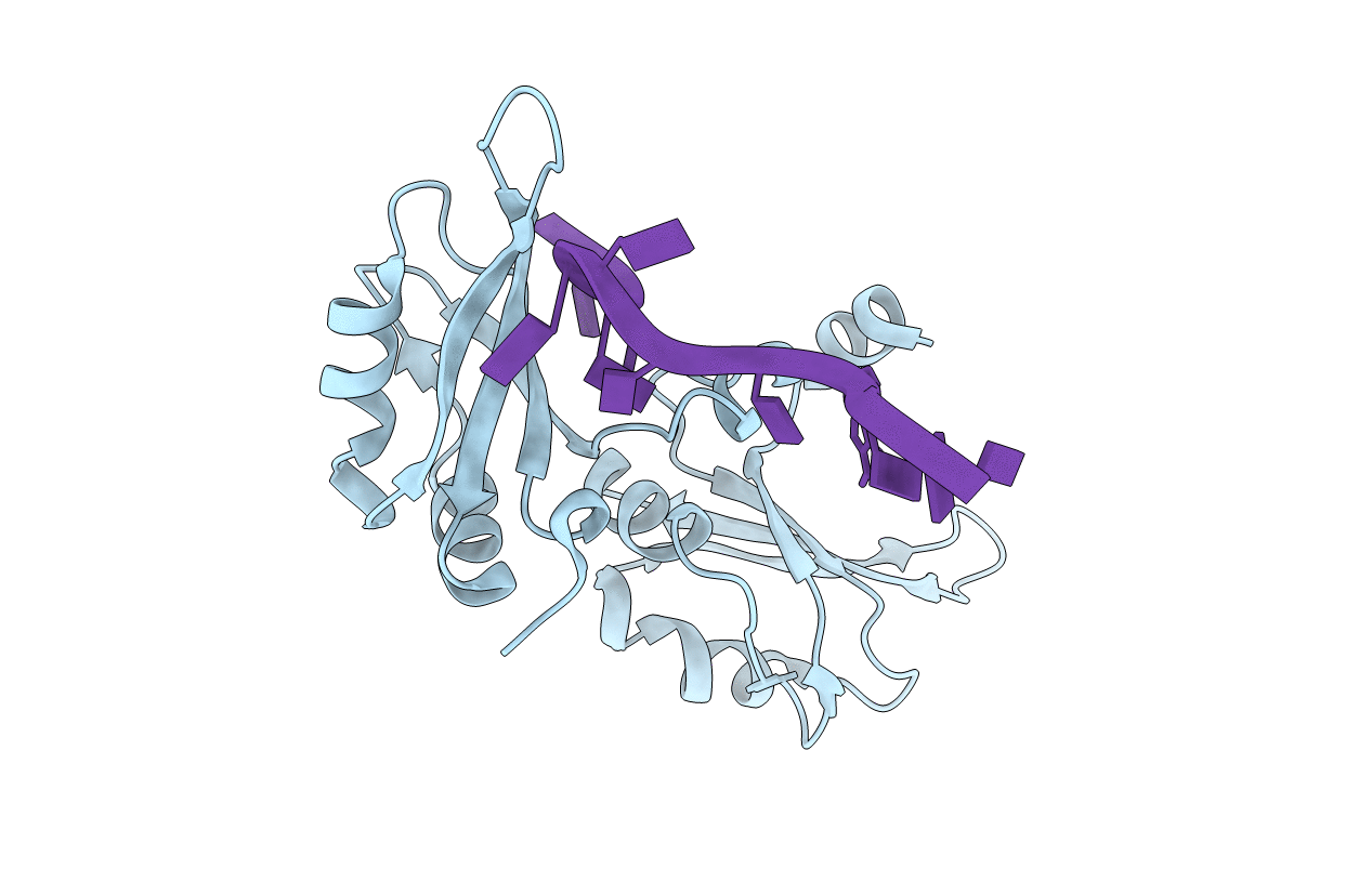 1U1K image