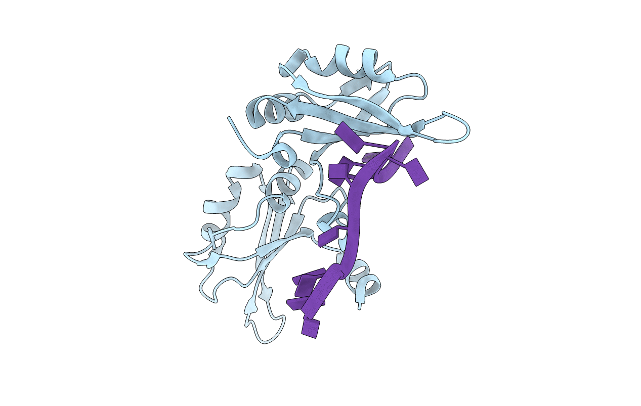 1U1L image