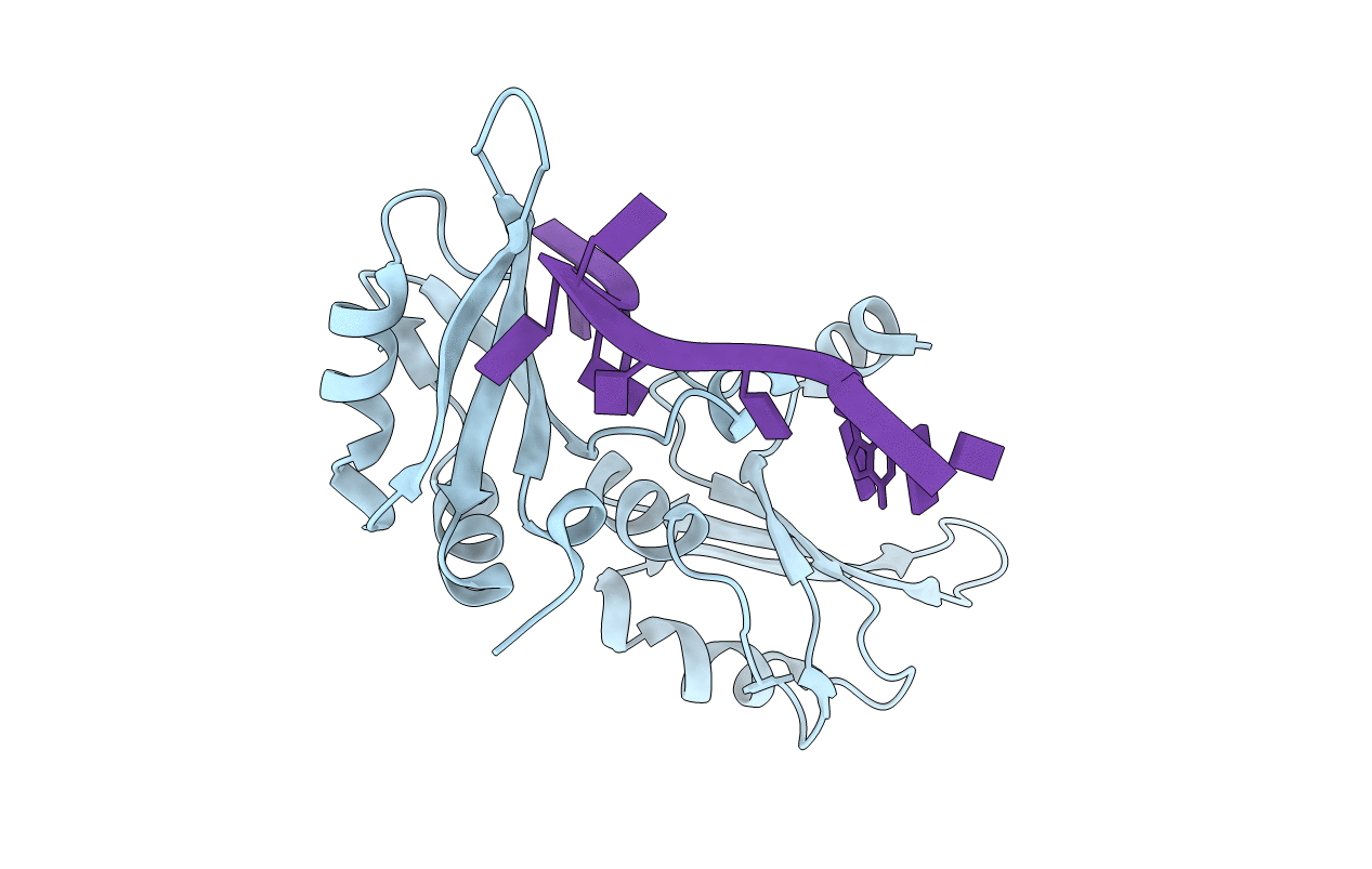 1U1M image