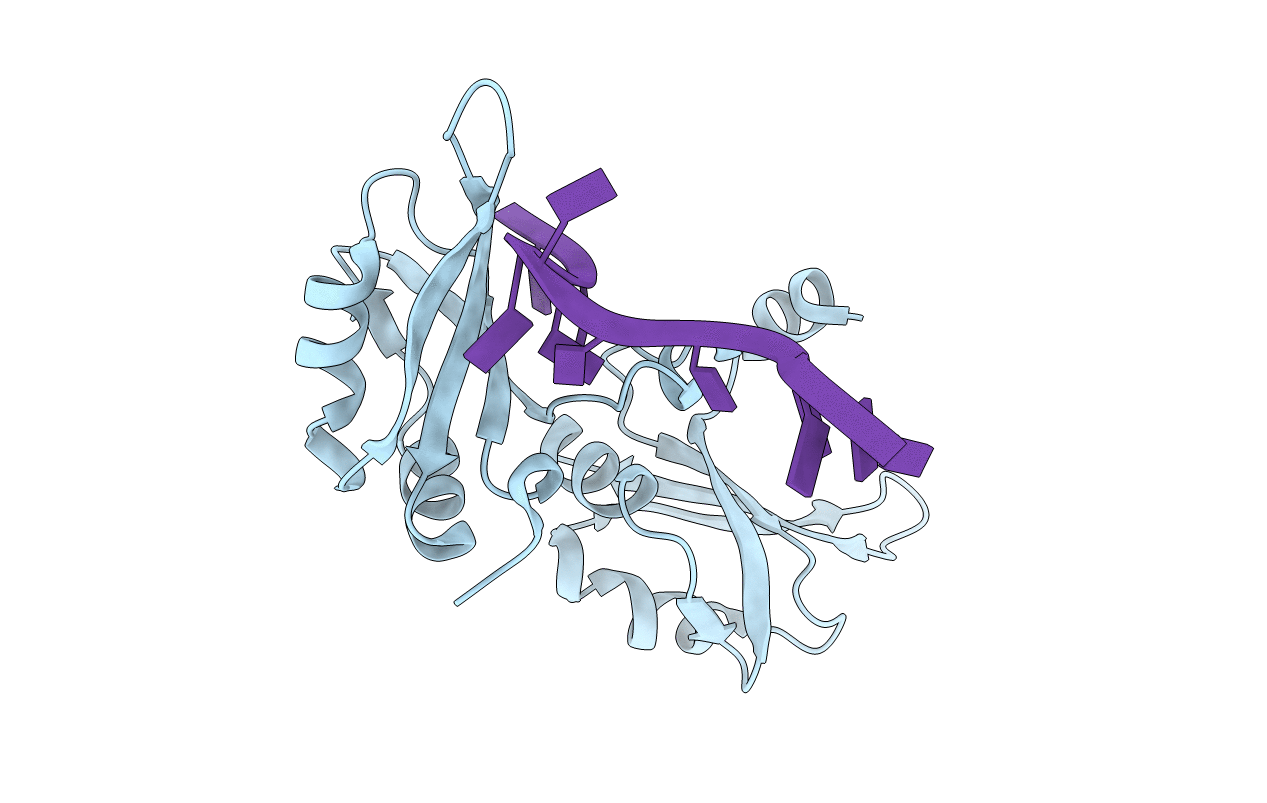 1U1N image