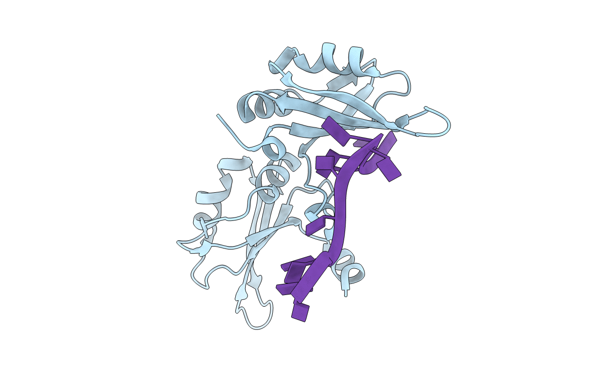 1U1O image