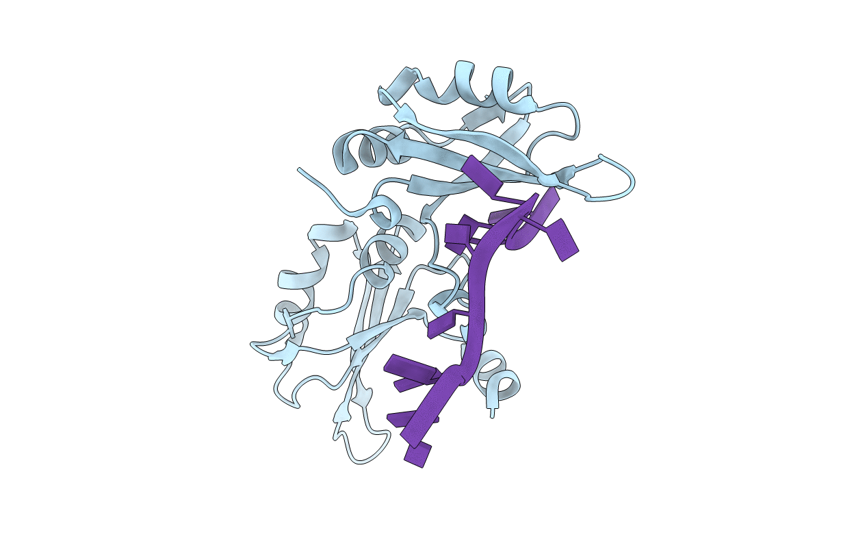 1u1p image
