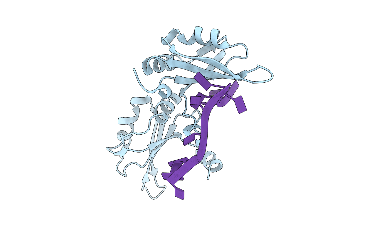 1U1R image