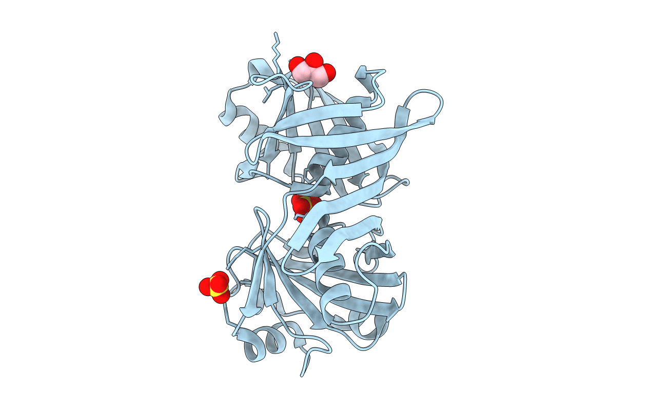 1u1v image