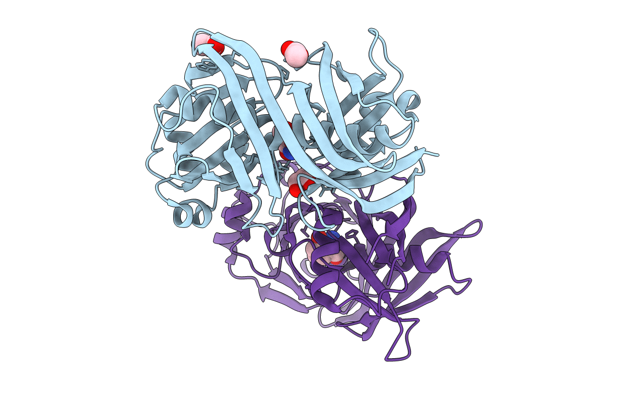 1U1W image