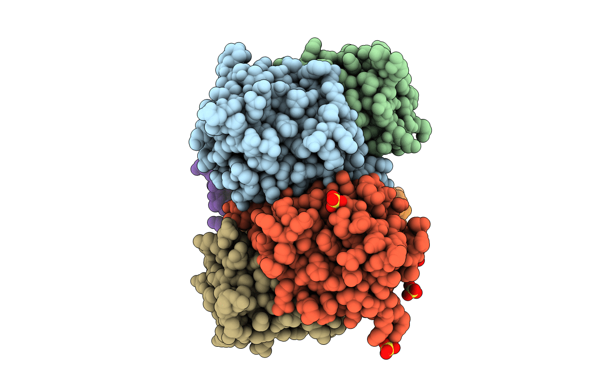 1U1Z image