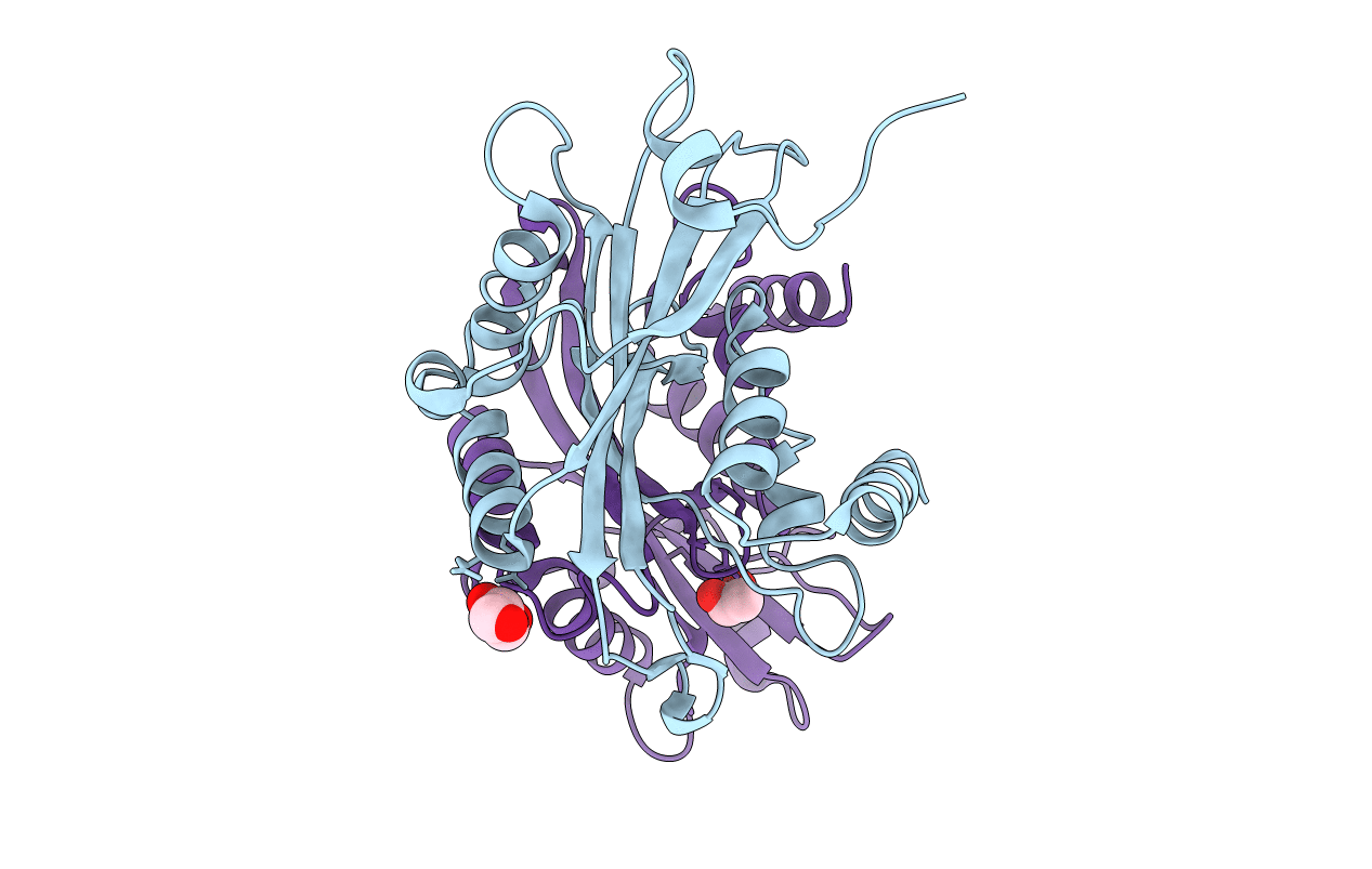 1U20 image