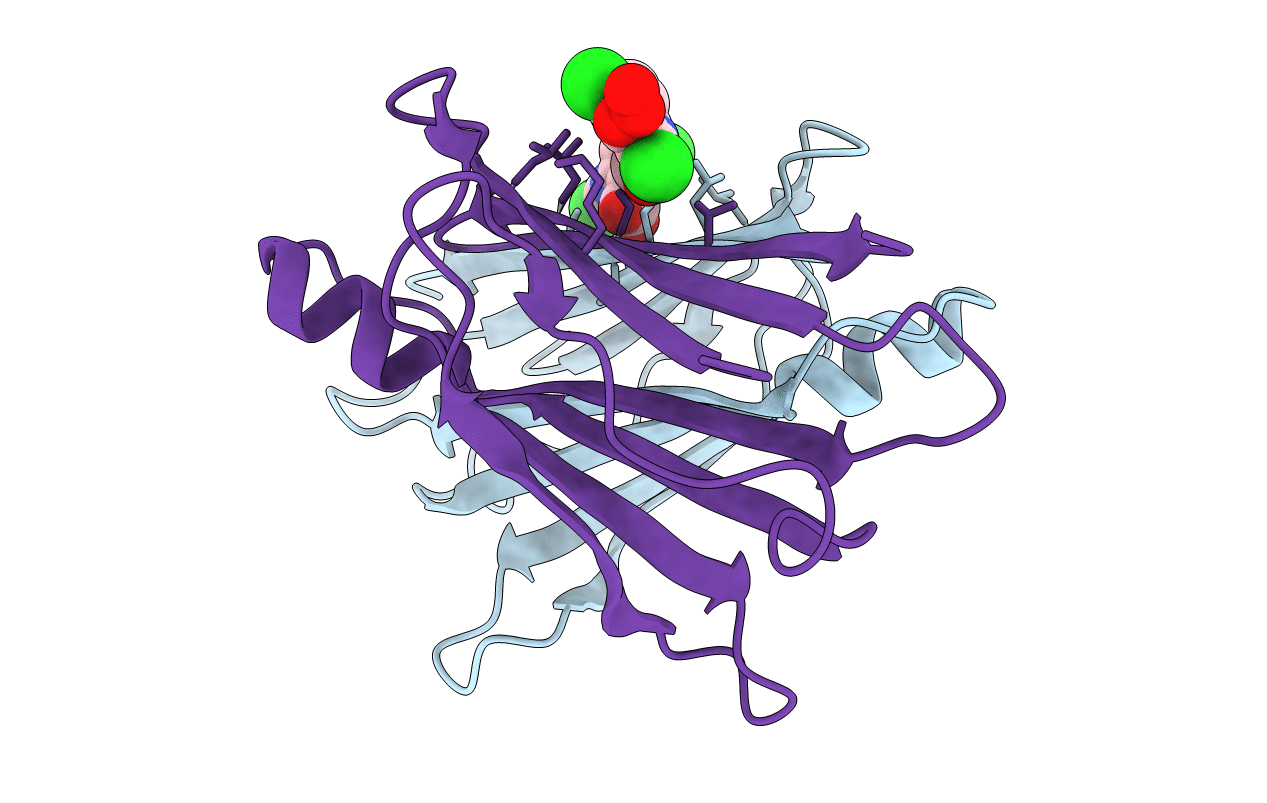 1U21 image