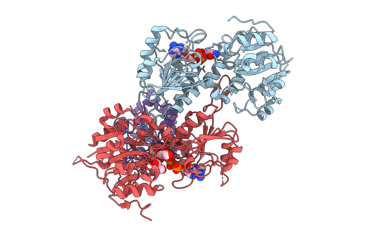 1u28 image