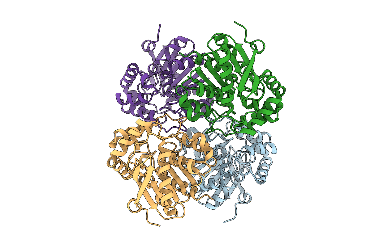 1U2E image