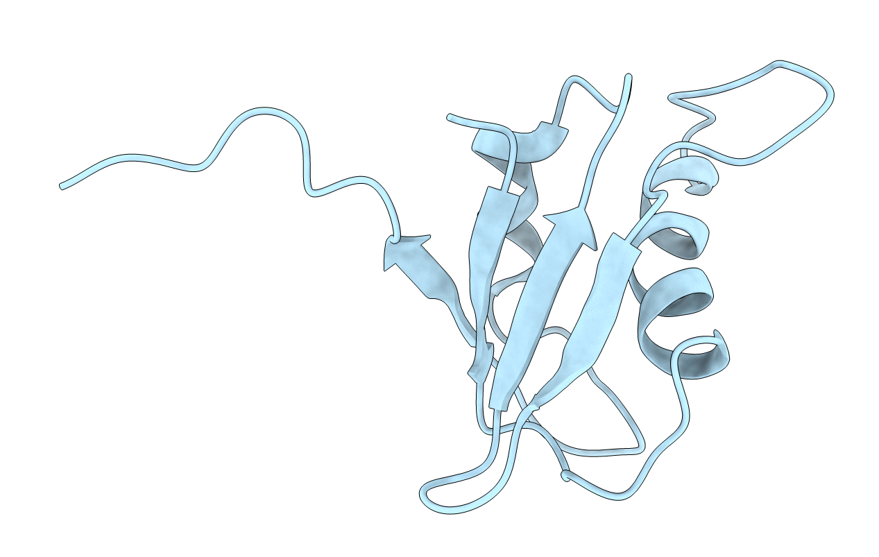 1U2F image