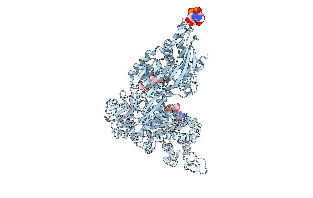 1U2R image