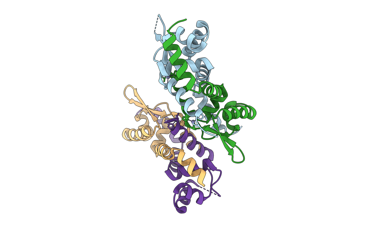 1U2W image