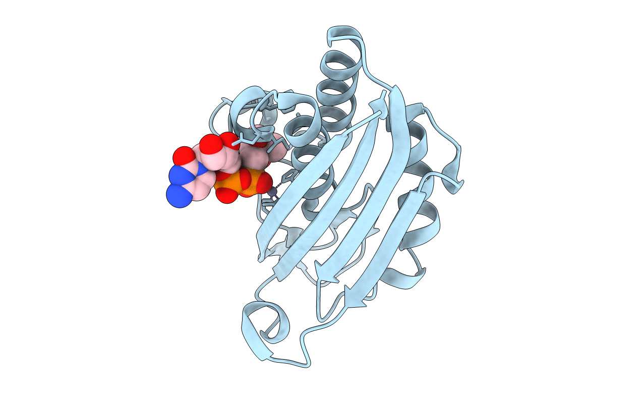 1u40 image
