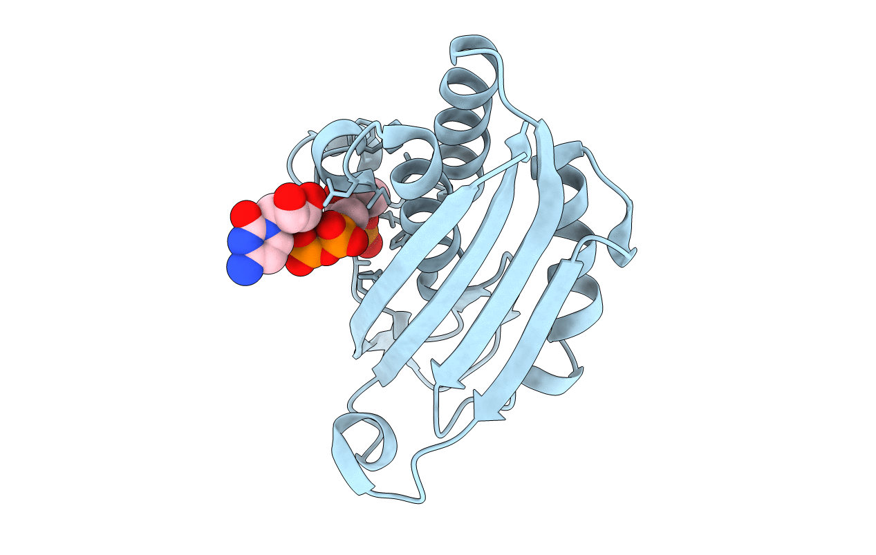 1U43 image