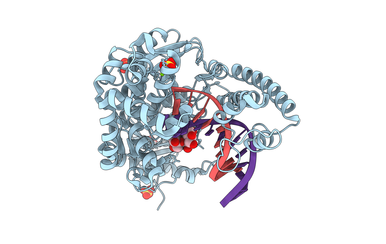 1U4B image