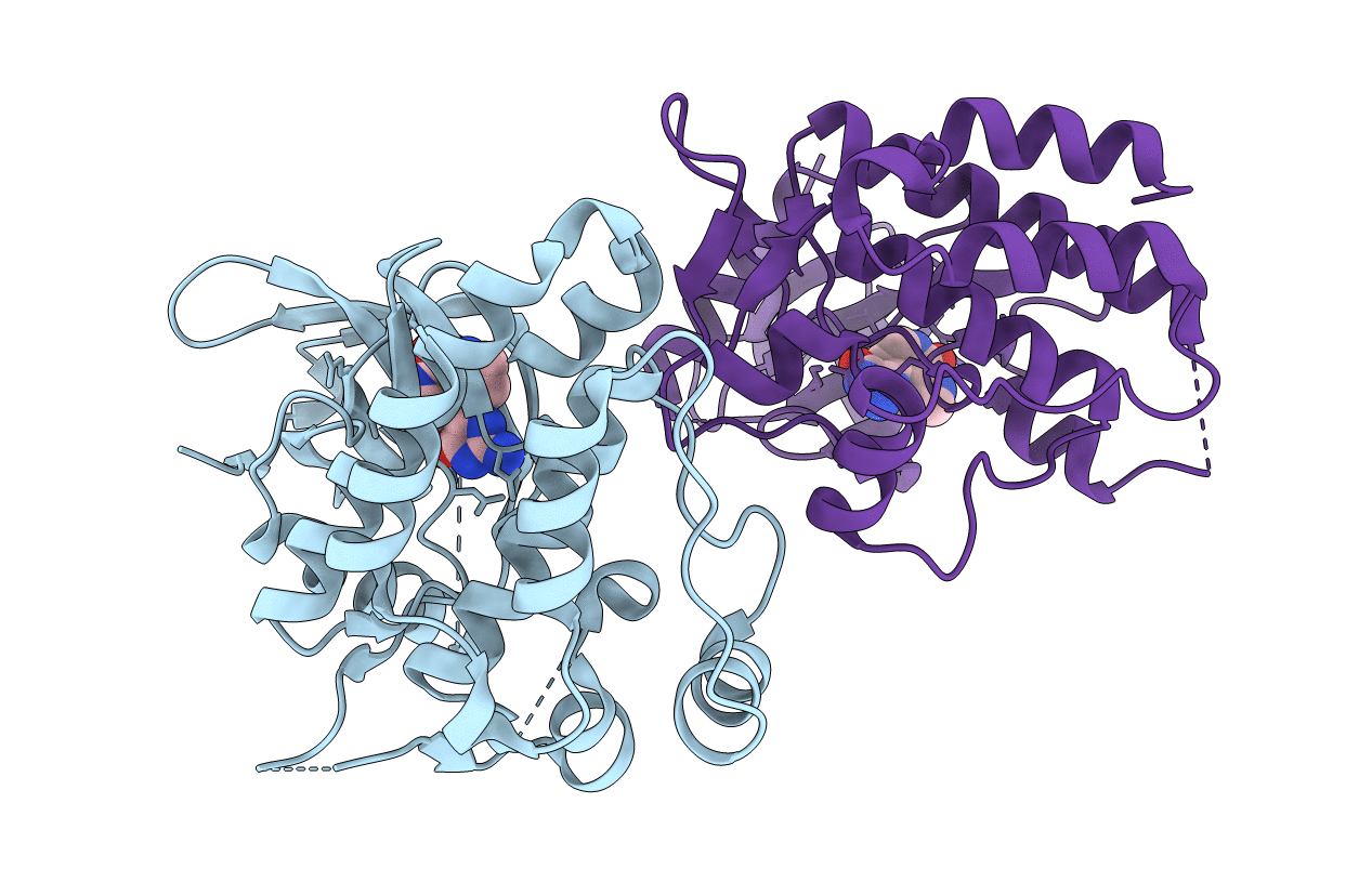 1U4D image