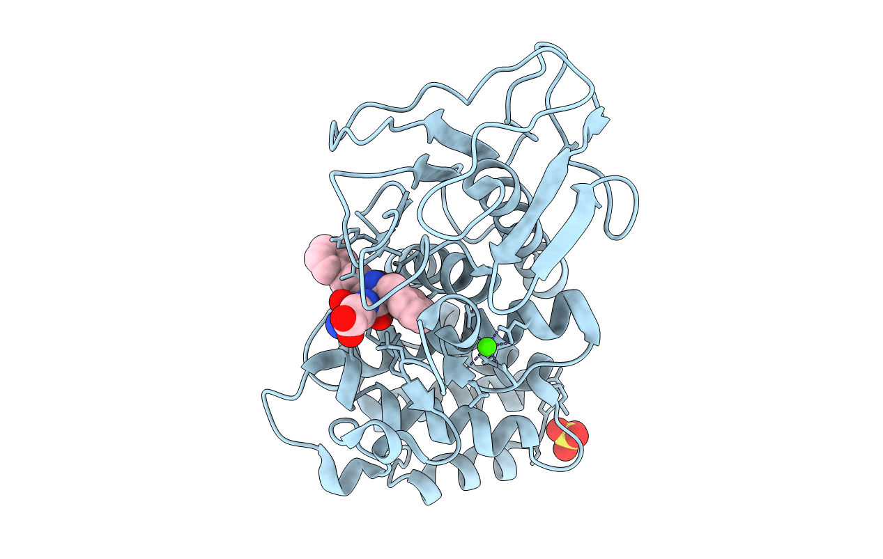 1U4G image