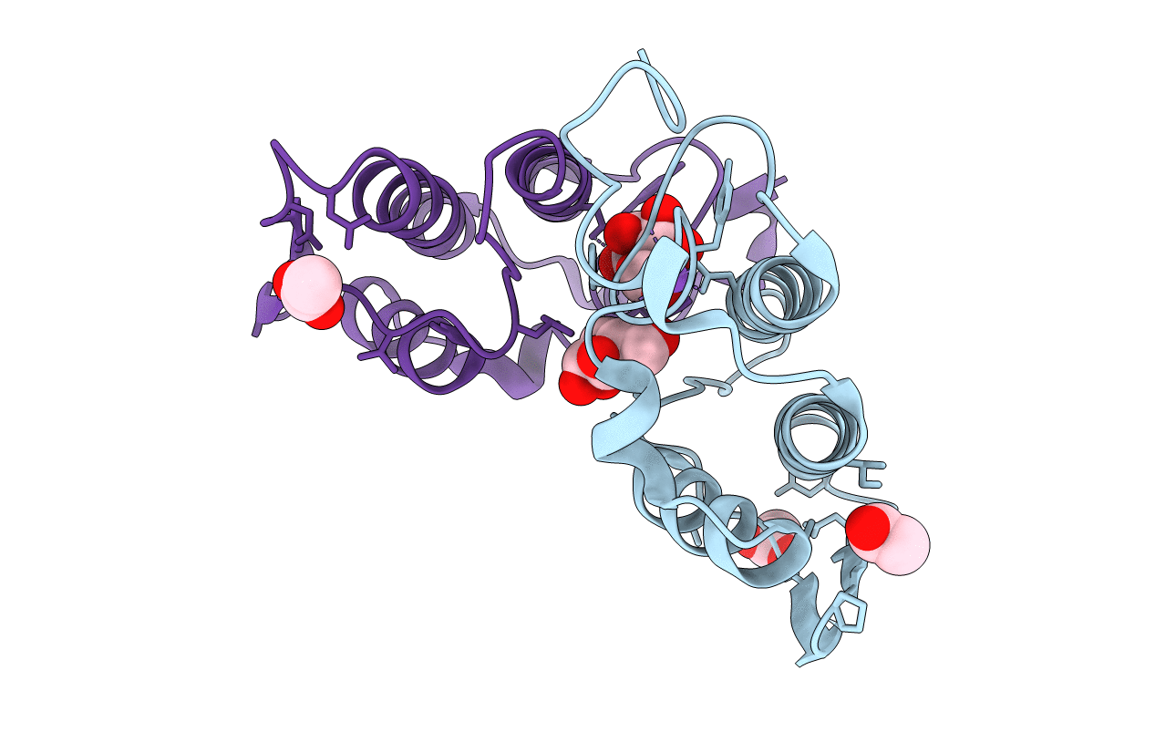 1U4J image
