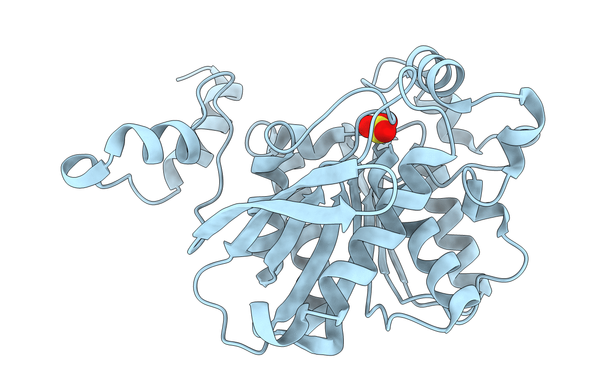 1U4N image