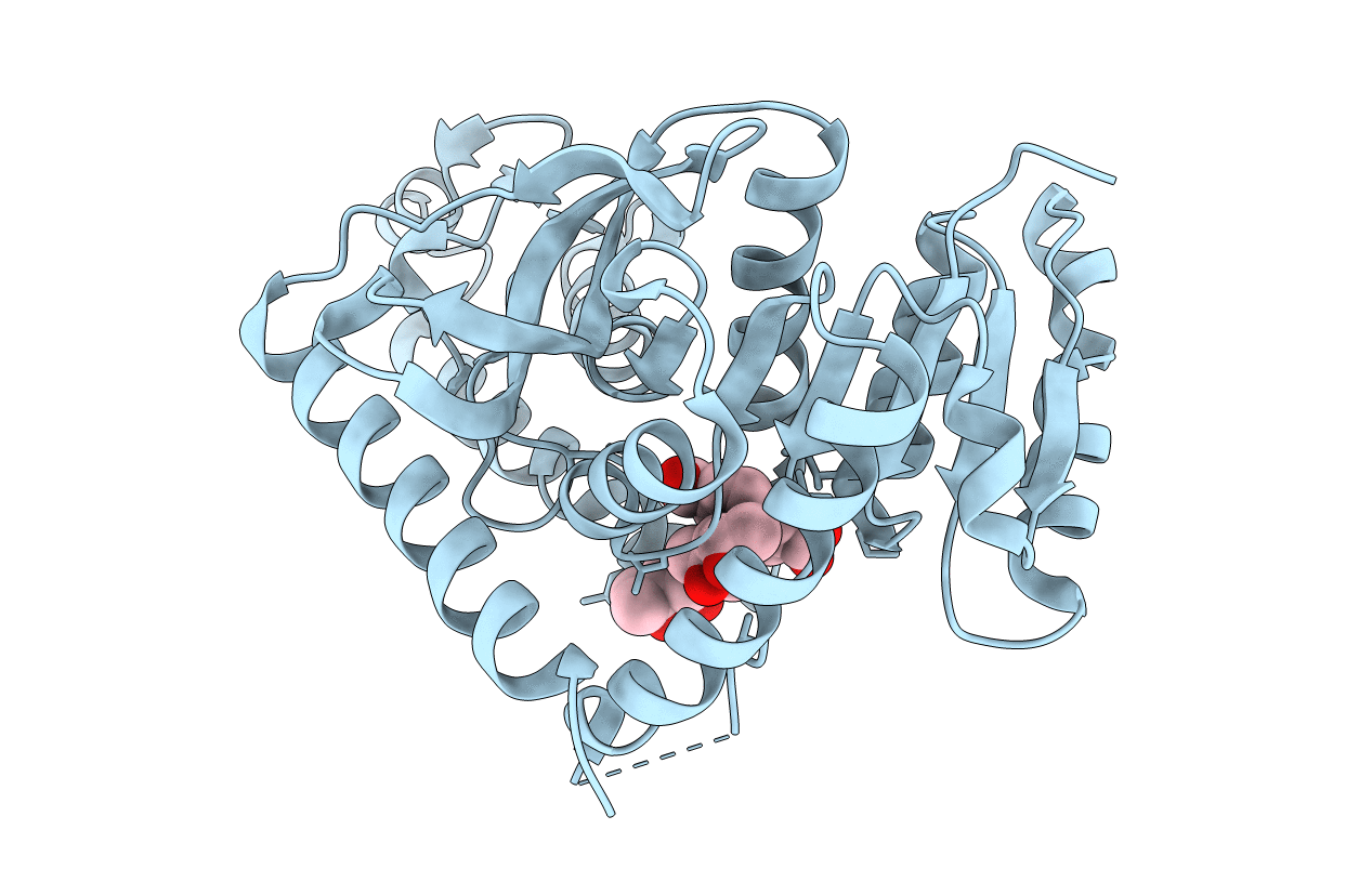 1U4O image
